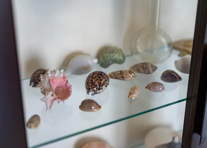 Casa Wanda Il Mirto Appartement Oristano